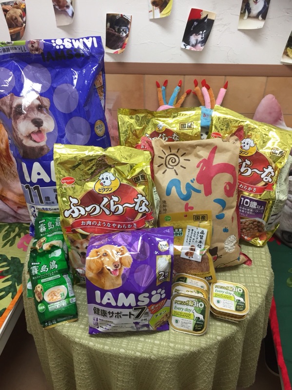 いつも支援物資をいただきまして本当にありがとうございます🙇＆今日のニャンコキャスト🐱